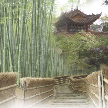 The Bamboo Temple